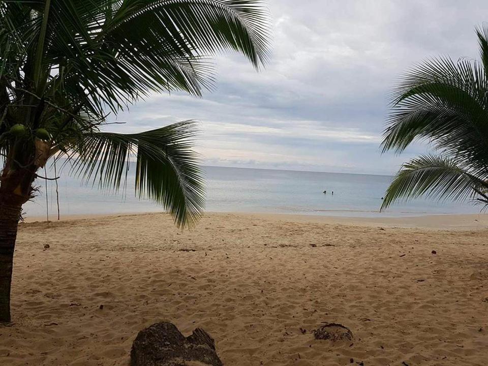 Cabinas Hukats Secret Jungle Puerto Viejo de Talamanca Extérieur photo